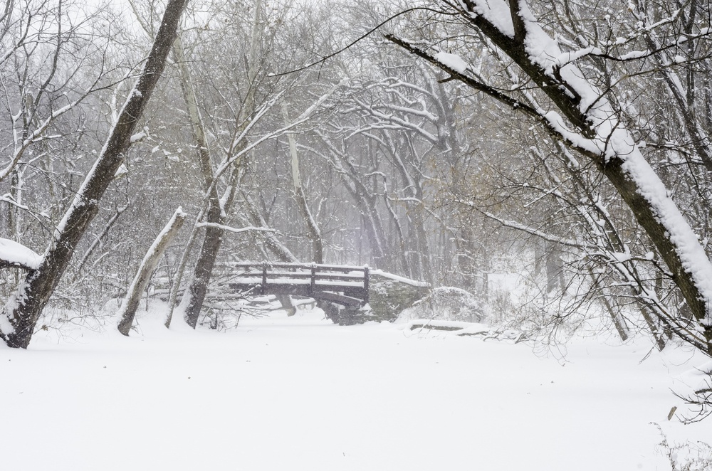 Wintry woods whiteout Footbridge over stream covered with snow during a winter storm in northern Illinois, USA.jpeg